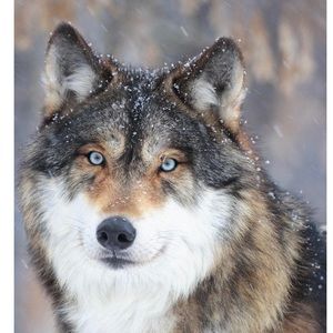 Meet your Posher, June